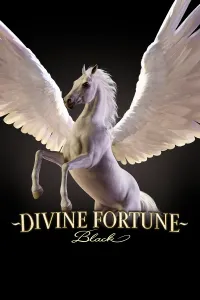 Divine Fortune Black